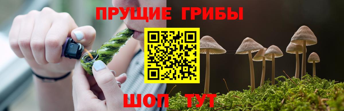 Псилоцибиновые грибы GOLDEN TEACHER Янаул