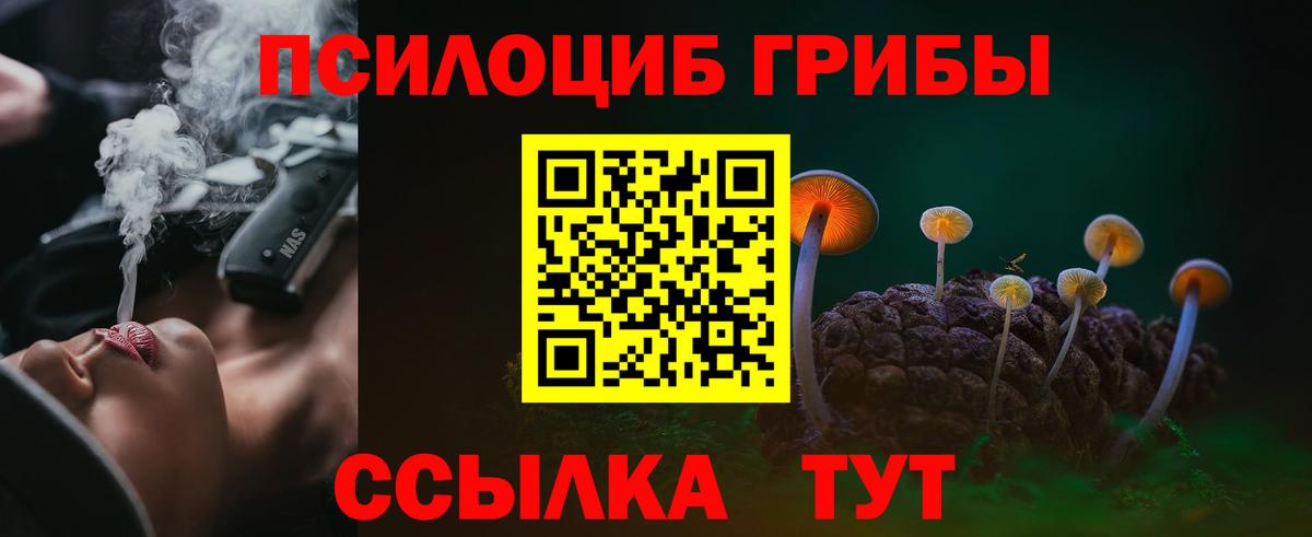 Галлюциногенные грибы Psilocybine cubensis  Вход с VPN  Янаул 